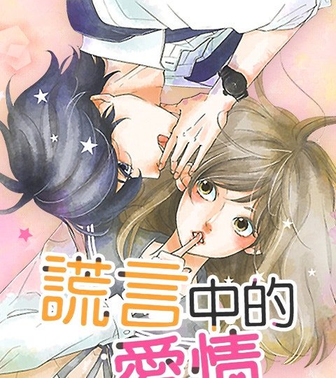 謊言中的愛情封面